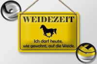Blechschild Hinweis 18x12cm Weidezeit Pferd