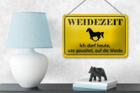 Blechschild Hinweis 18x12cm Weidezeit Pferd