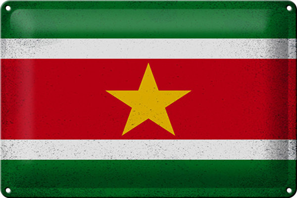 Blechschild Flagge Suriname 30x20cm Flag Suriname Vintage