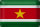 Blechschild Flagge Suriname 30x20cm Flag Suriname Vintage