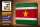 Blechschild Flagge Suriname 30x20cm Flag Suriname Vintage