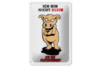 Blechschild Spruch 12x18cm Bin nicht klein bin platzsparend