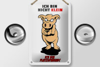 Blechschild Spruch 12x18cm Bin nicht klein bin platzsparend