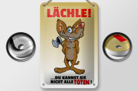 Blechschild Spruch 12x18cm Lächle Du kannst Sie nicht alle Töten