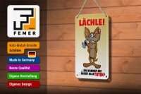 Blechschild Spruch 12x18cm Lächle Du kannst Sie nicht alle Töten