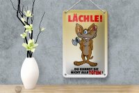 Blechschild Spruch 12x18cm Lächle Du kannst Sie nicht alle Töten