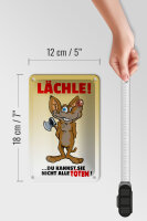 Blechschild Spruch 12x18cm Lächle Du kannst Sie nicht alle Töten