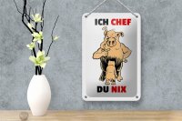 Blechschild Spruch 12x18cm Ich Chef Du nix (Schweine)