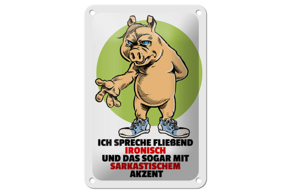 Blechschild Spruch 12x18cm Spreche fließend ironisch