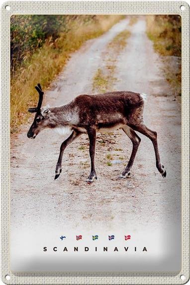 Blechschild Reise 20x30cm Skandinavien Hirsch Natur Weg Urlaub