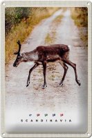 Blechschild Reise 20x30cm Skandinavien Hirsch Natur Weg...