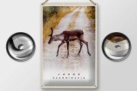 Blechschild Reise 20x30cm Skandinavien Hirsch Natur Weg Urlaub