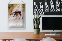 Blechschild Reise 20x30cm Skandinavien Hirsch Natur Weg Urlaub