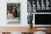 Blechschild Reise 20x30cm Confoederatio Helvetica Schaf Frau