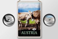 Blechschild Reise 20x30cm Österreich Tiere Weide Natur Gebirge