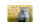 Blechschild Spruch 18x12cm Hunde kommen Katzen kehren zurück
