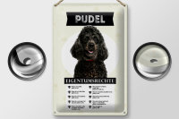 Blechschild Spruch 20x30cm Pudel Eigentumsrechte