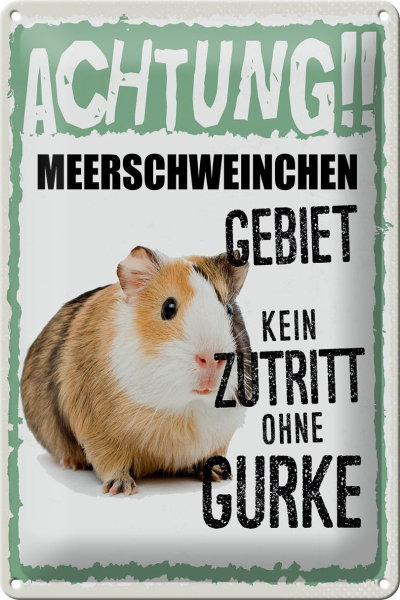 Blechschild Spruch 20x30cm Achtung Meerschweinchen kein Zutritt ohne Gurke