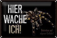 Blechschild Spruch 30x20cm Spinne hier wache ich eigene...