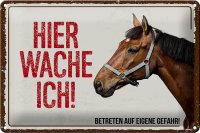 Blechschild Spruch 30x20cm Pferd hier wache ich eigene...
