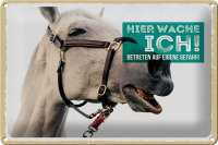 Blechschild Spruch 30x20cm Schimmel hier wache ich