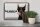 Blechschild Spruch 30x20cm Doberman hier wache ich