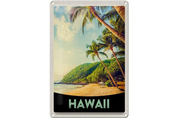 Blechschild Reise 20x30cm Hawaii Insel Strand Palmen Sonne