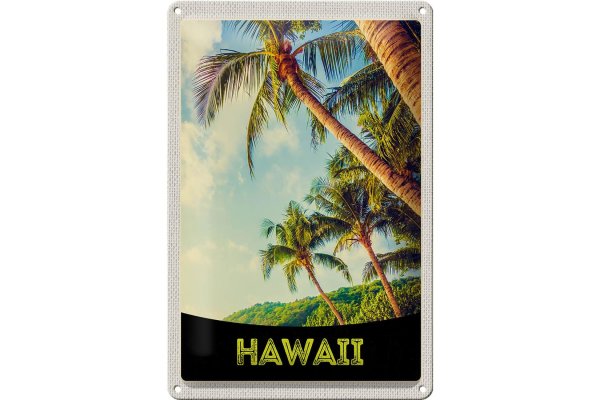 Blechschild Reise 20x30cm Hawaii Insel Strand Palmen Meer