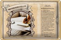 Blechschild Berufe 30x20cm Bankangestellte Konten...