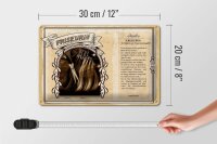 Blechschild Berufe 30x20cm Friseurin Stylistin Blick Schöne