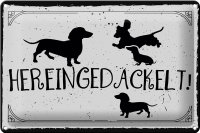 Blechschild Spruch 30x20cm Hereingedackelt