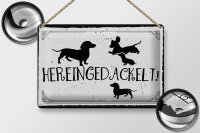 Blechschild Spruch 30x20cm Hereingedackelt