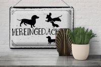 Blechschild Spruch 30x20cm Hereingedackelt
