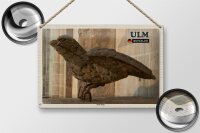Blechschild Städte Ulm Ulmer Spatz Skulptur 30x20cm