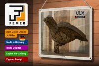 Blechschild Städte Ulm Ulmer Spatz Skulptur 30x20cm