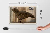 Blechschild Städte Ulm Ulmer Spatz Skulptur 30x20cm