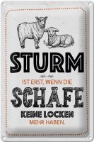 Blechschild Spruch lustig Sturm wenn Schafe Locken 20x30cm