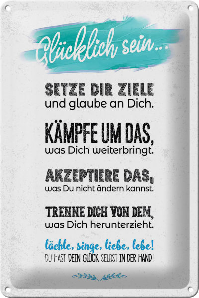 Blechschild Spruch Glücklich sein setze dir Ziele 20x30cm