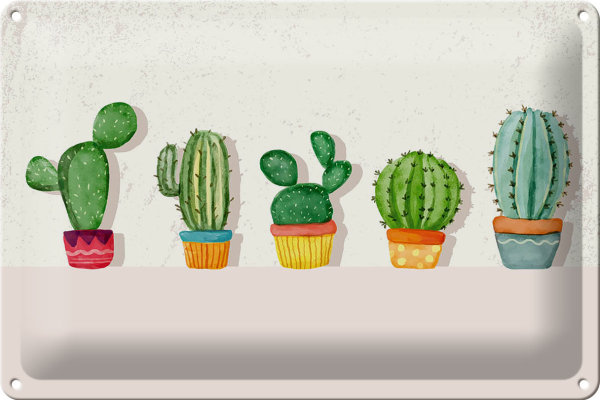 Blechschild Spruch 5 Kakteen Blumentopf Kaktus 30x20cm