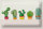 Blechschild Spruch 5 Kakteen Blumentopf Kaktus 30x20cm