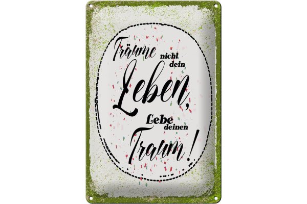 Blechschild Spruch träume nicht dein Leben lebe Traum 20x30cm
