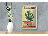 Blechschild Spruch 12x18cm Unkraut verkaufen Selbstpflücker