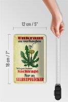 Blechschild Spruch 12x18cm Unkraut verkaufen Selbstpflücker