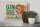 Blechschild Spruch Gin Drinkers are sassy classy 30x20cm