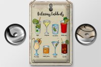 Blechschild Spruch Cocktails Mojito Martini Margarita 20x30cm