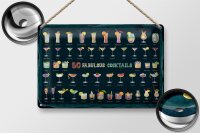 Blechschild 50 Fabulous Cocktails Drinks 30x20cm
