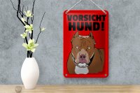 Blechschild Hinweis 12x18cm Vorsicht Hund