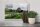 Blechschild Reise 30x20cm Paris Frankreich Jardin des Tuileries Park