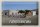 Blechschild Reise 30x20cm Fuerteventura Spanien Puerto Rosario Tefia