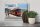 Blechschild Reise 30x20cm Mallorca Spanien Insel-Tram-Tranvia